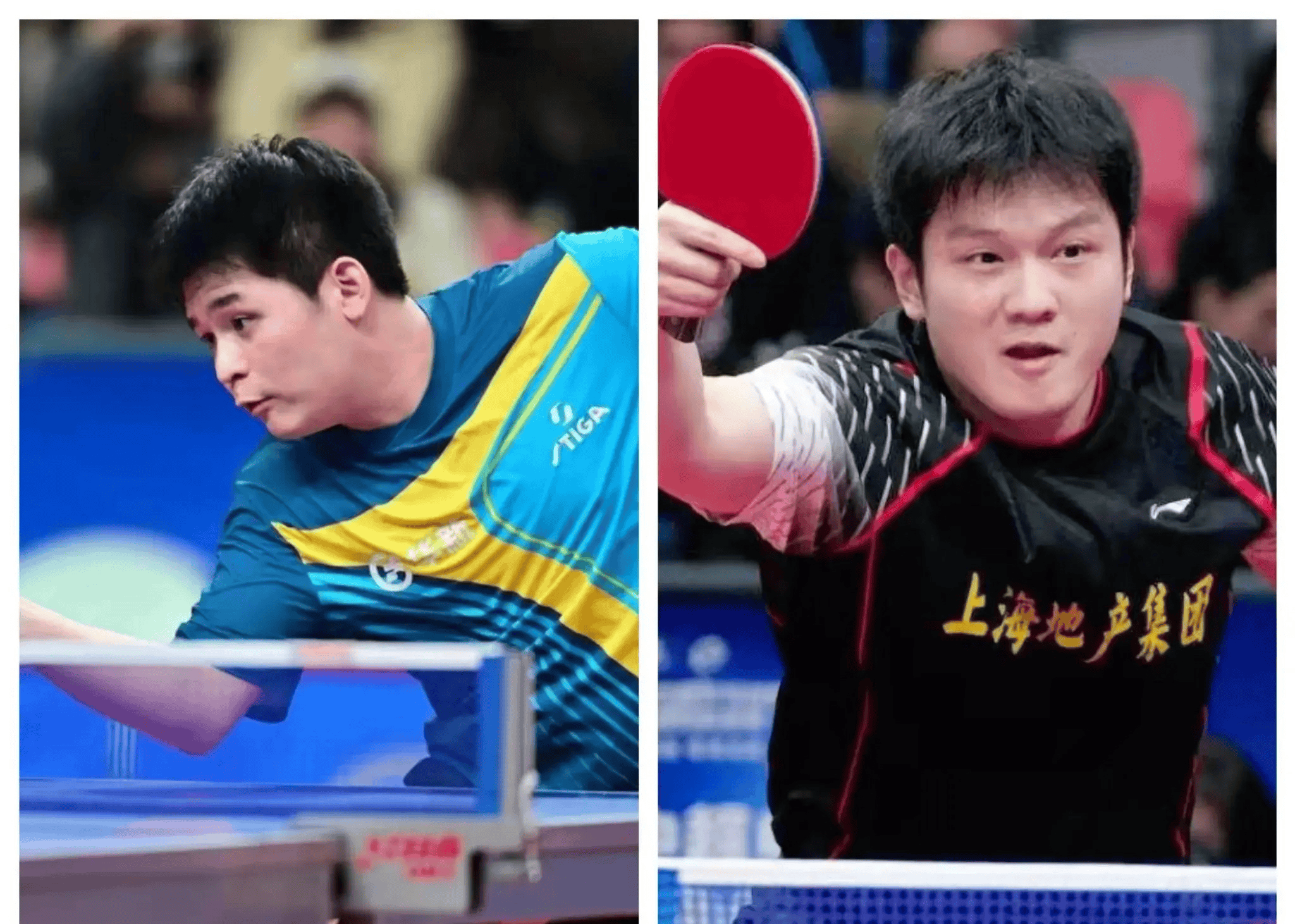 九游APP-波兰乒乓球队轻取法国乒乓球队，樊振东统治全场的简单介绍