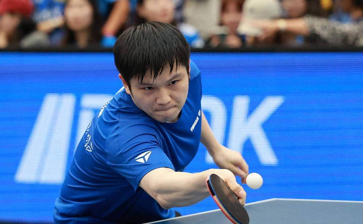 波兰乒乓球队轻取法国乒乓球队，樊振东统治全场的简单介绍