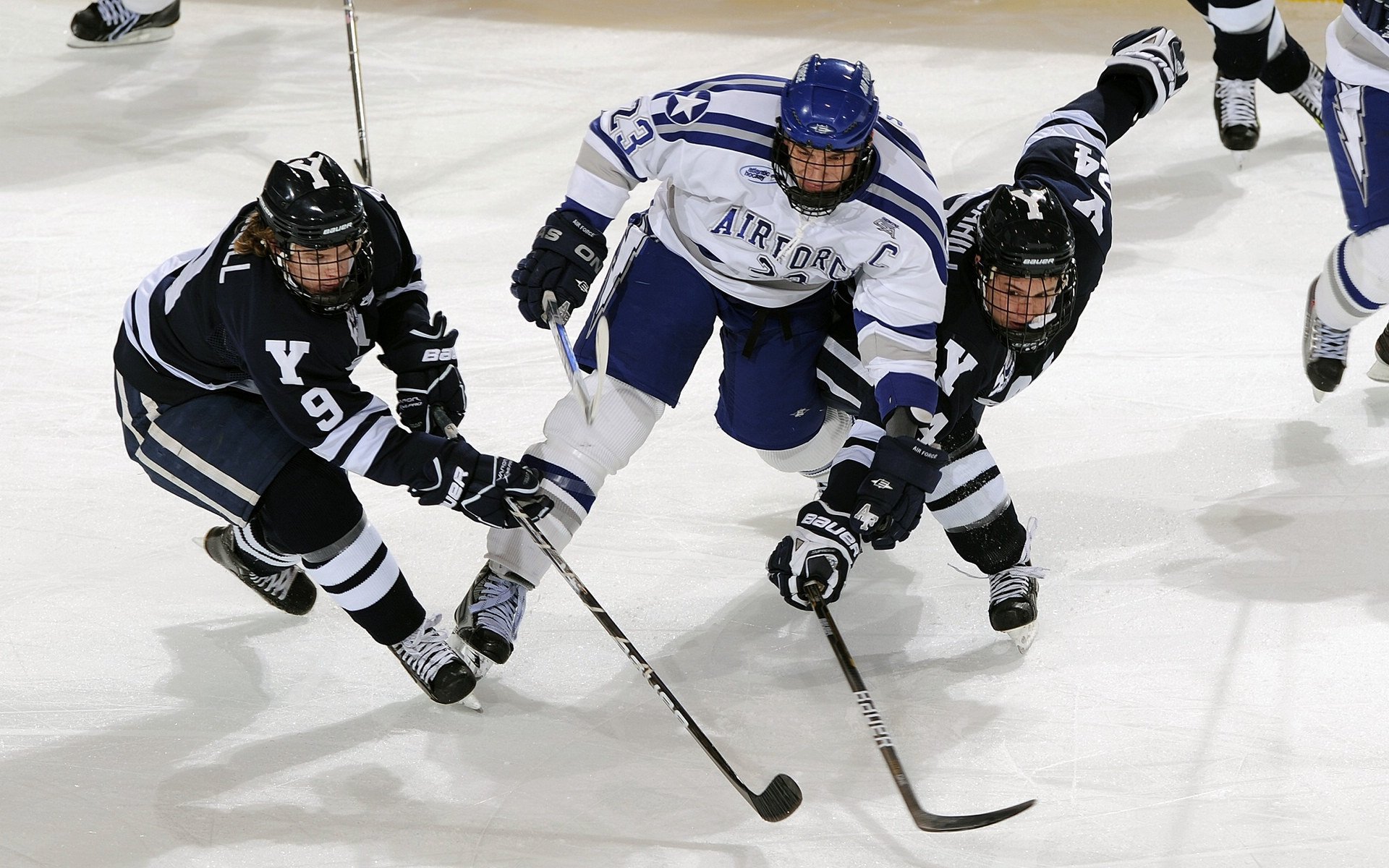 九游娱乐官方网站-跨界绝杀，范弗利特的德甲争冠夜与掘金的终场启示