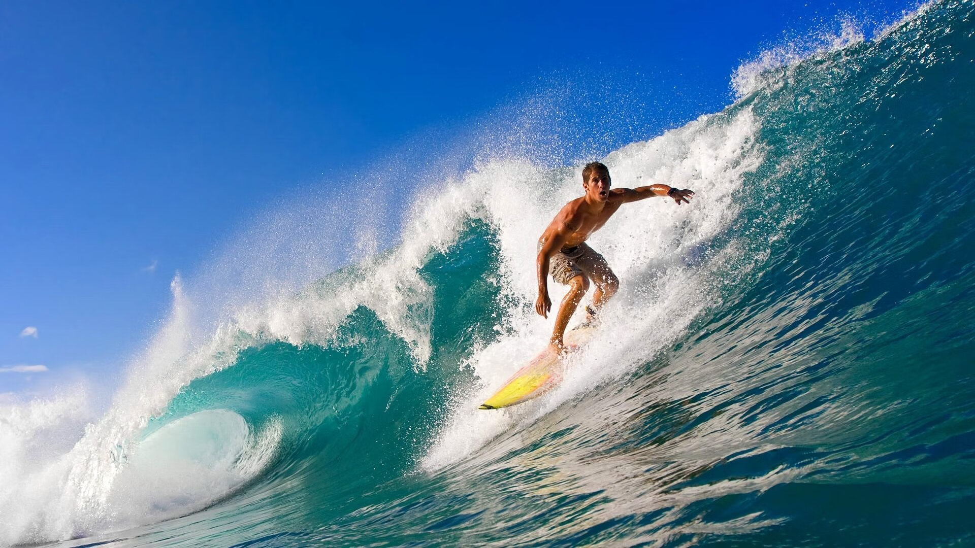 九游体育APP下载-骑士掀翻奇才背后，哈利伯顿如何用一场比赛定义巨星价值