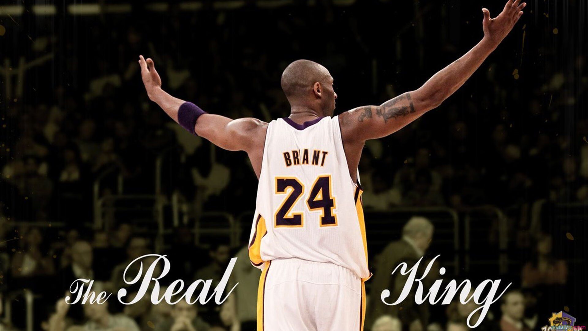 莱奥的救赎时刻，当巴黎的夜色吞没葡萄牙，一颗新星在绝境中点亮圣日耳曼